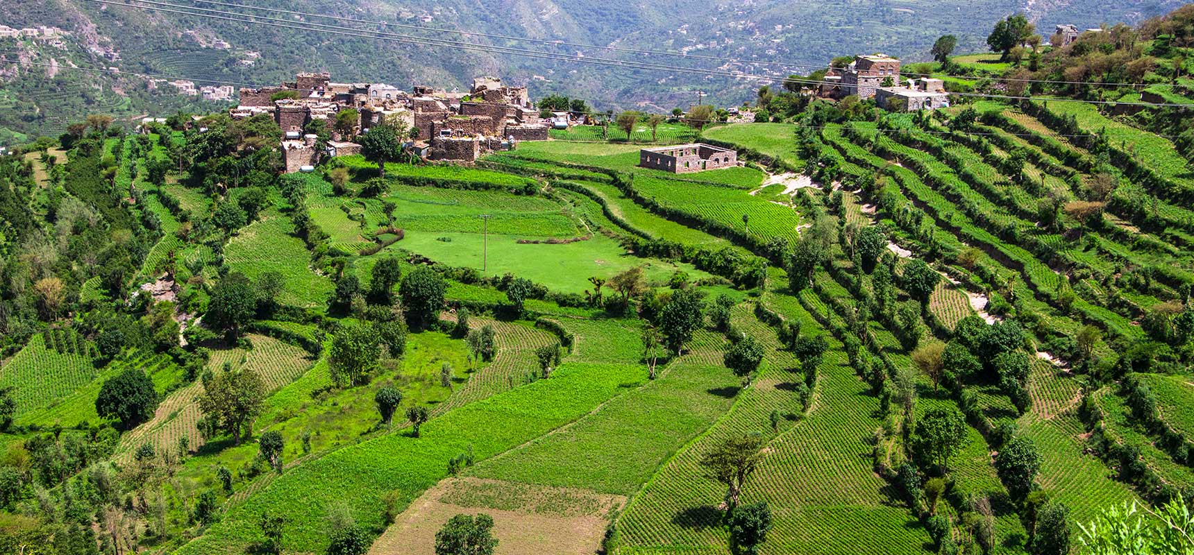 Sustainable Sips: Our Journey from Mountain to Cup