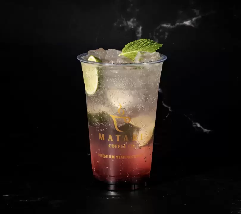 Pomegranate Mojito